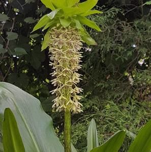 Meet your Posher, Monika